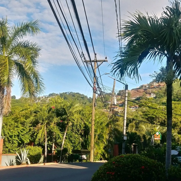 tico333